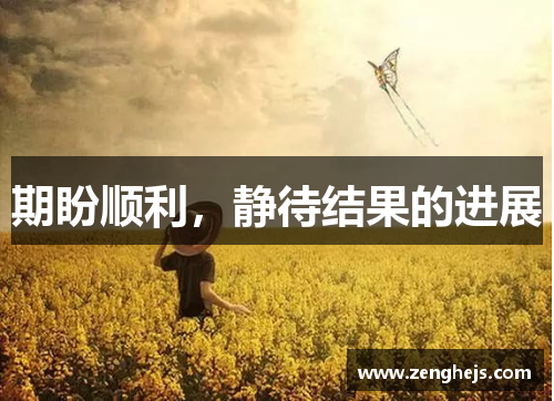 期盼顺利，静待结果的进展